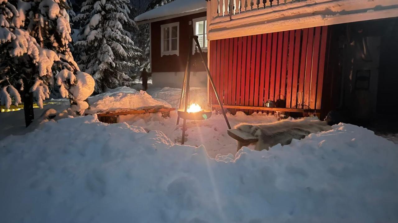Mountain Cabin Lofsdalen Eksteriør bilde