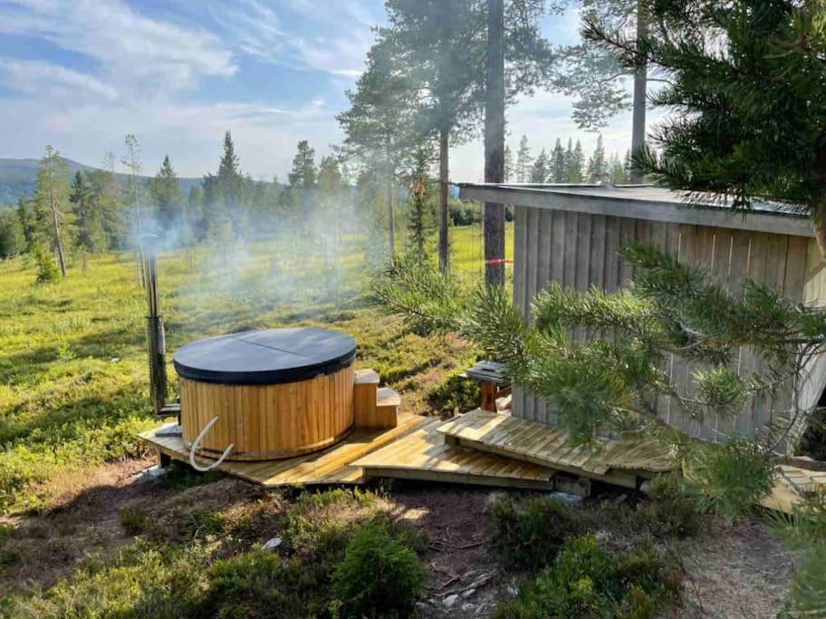 Mountain Cabin Lofsdalen Eksteriør bilde