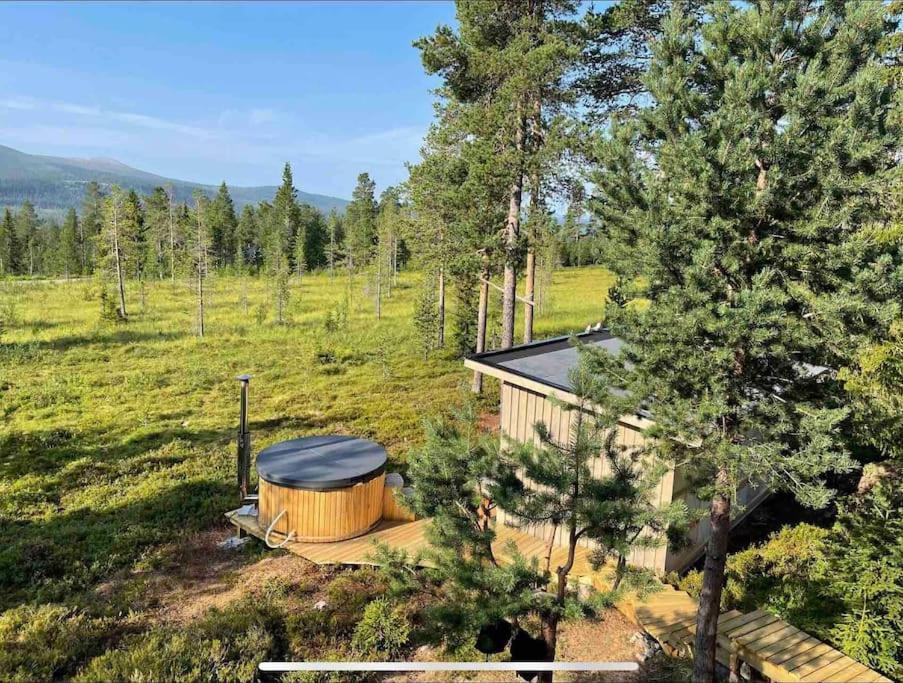 Mountain Cabin Lofsdalen Eksteriør bilde