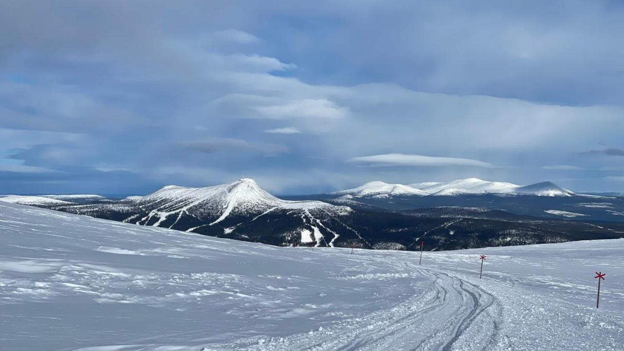 Mountain Cabin Lofsdalen Eksteriør bilde